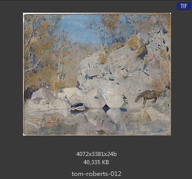 汤姆·罗伯茨 Tom Roberts