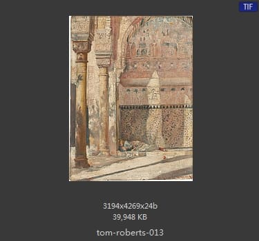 汤姆·罗伯茨 Tom Roberts