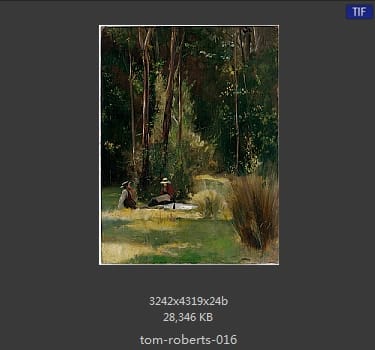 汤姆·罗伯茨 Tom Roberts