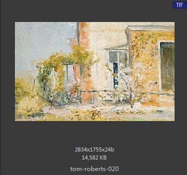 汤姆·罗伯茨 Tom Roberts