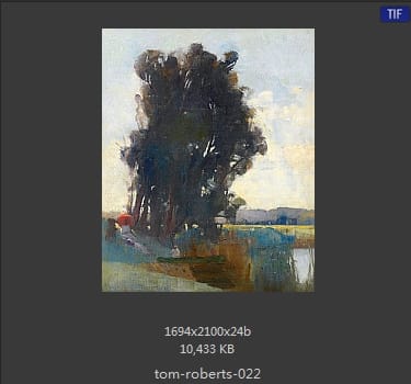 汤姆·罗伯茨 Tom Roberts