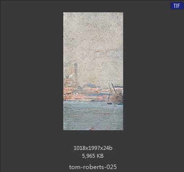汤姆·罗伯茨 Tom Roberts