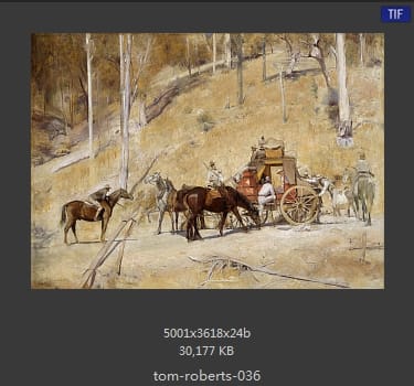 汤姆·罗伯茨 Tom Roberts