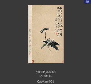 曹堪 墨枇杷