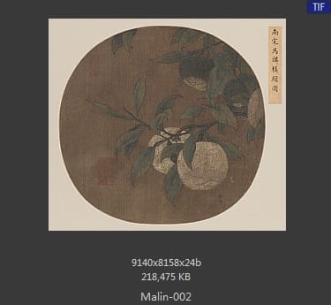 马麟 橘绿图