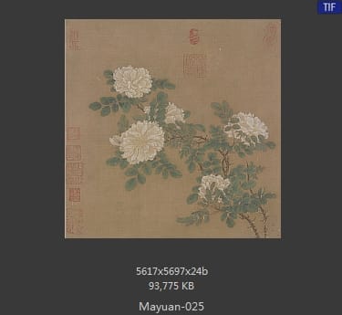 马远 白蔷薇