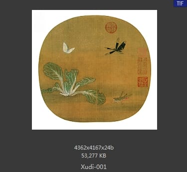 许迪 草虫野蔬图