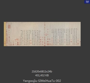 扬无咎 四梅花图卷
