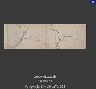 扬无咎 四梅花图卷