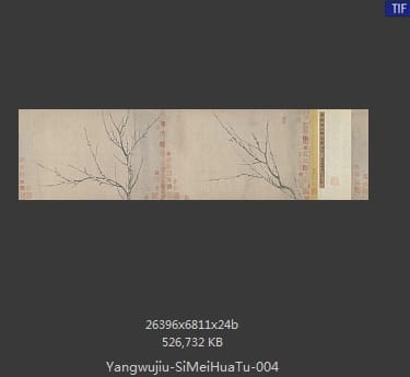 扬无咎 四梅花图卷