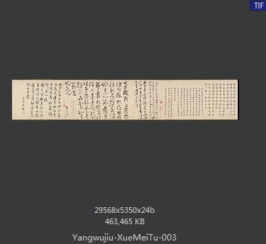 杨无咎 雪梅图