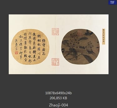 赵佶-枇杷山鸟图页