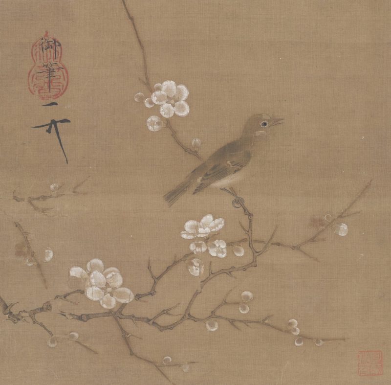 梅花绣眼图页