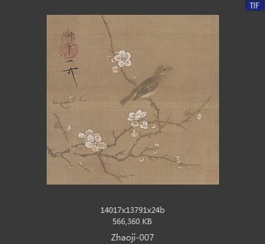 赵佶-梅花绣眼图页