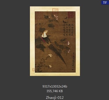 赵佶-芙蓉锦鸡图