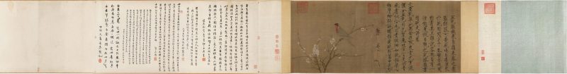 五色鹦鹉图