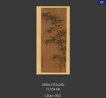 李衎-双钩竹图