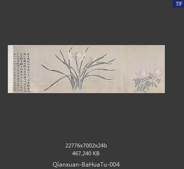 钱选-八花图卷