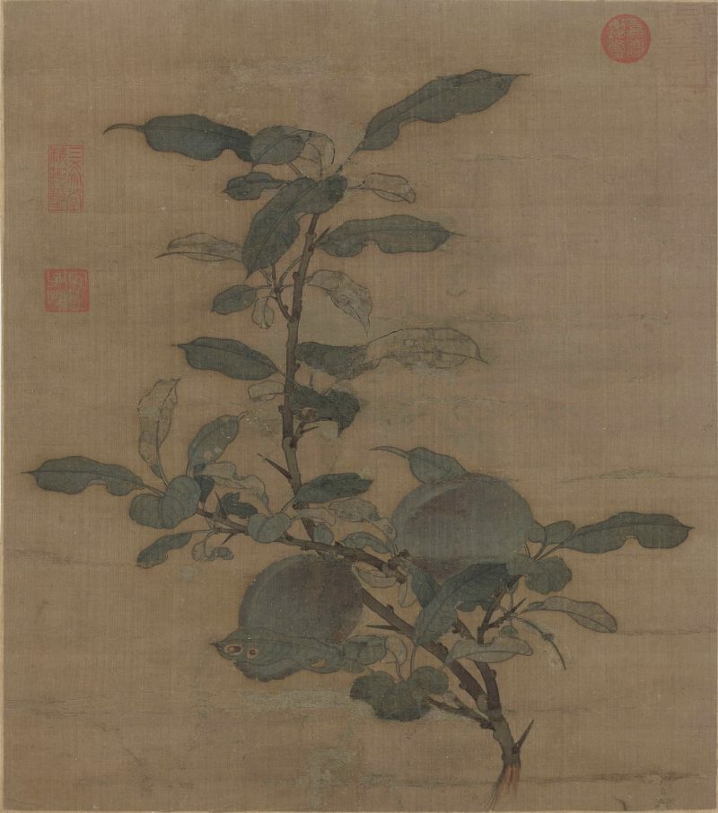 折枝果图