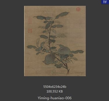 折枝果图