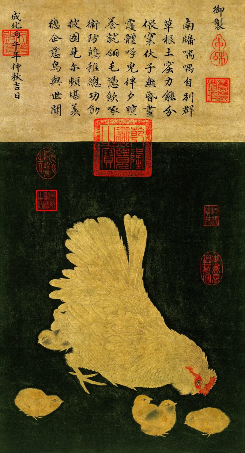子母鸡图