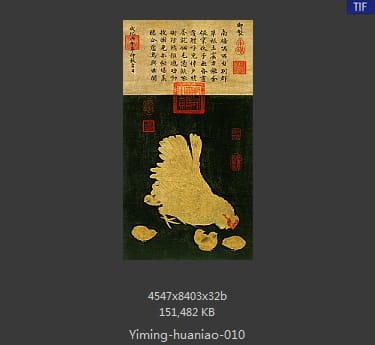 子母鸡图