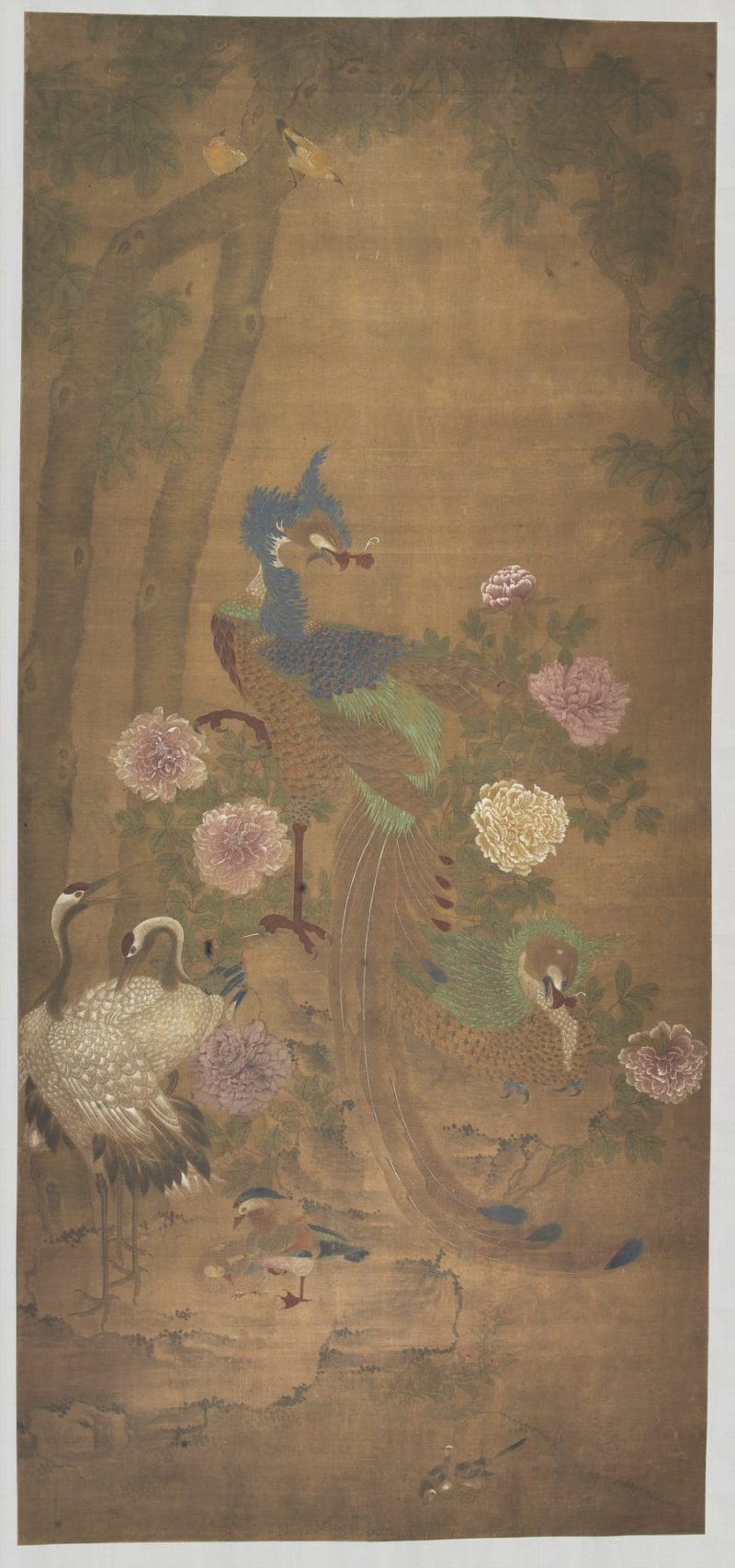 孔雀图