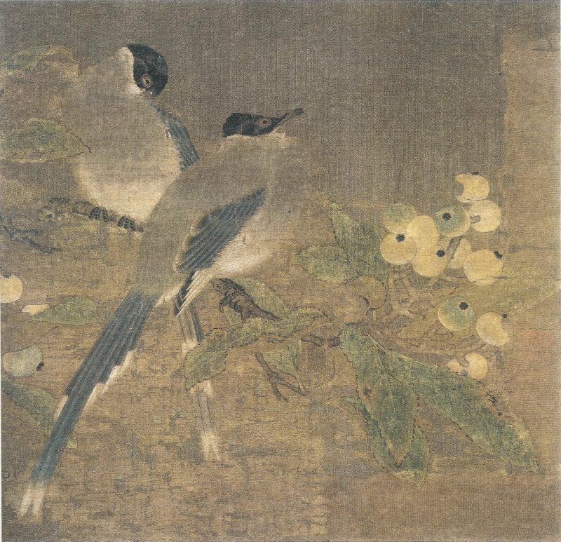 山鹊枇杷图