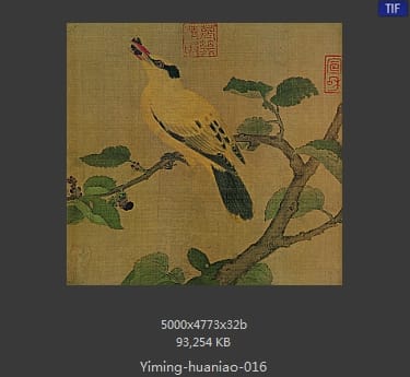 桑果山鸟图
