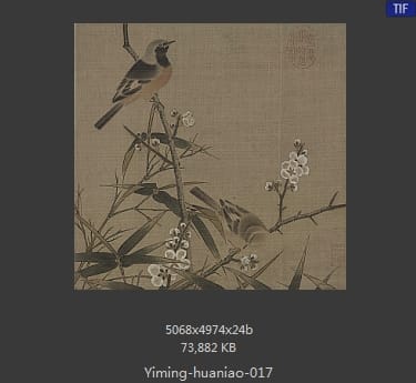 梅竹双鹊图