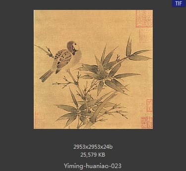 竹雀图