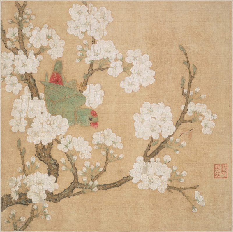 梨花鹦鹉图