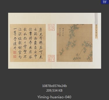 垂柳飞絮图