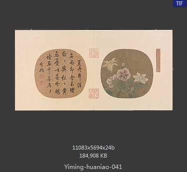 夏卉骈芳