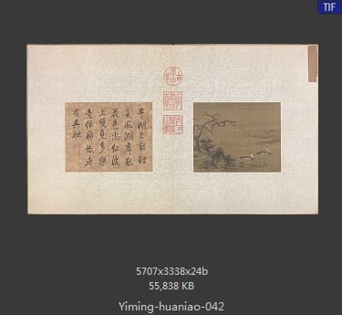 寒塘凫侣图
