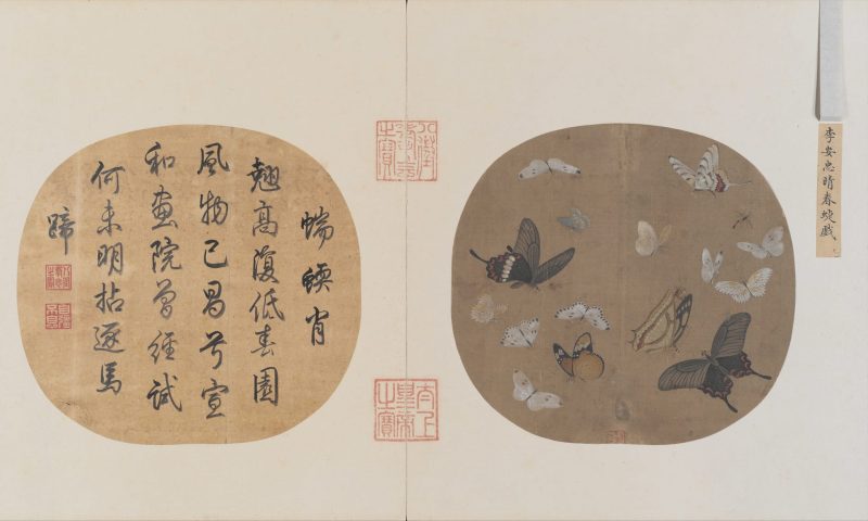 晴春蝶戏图