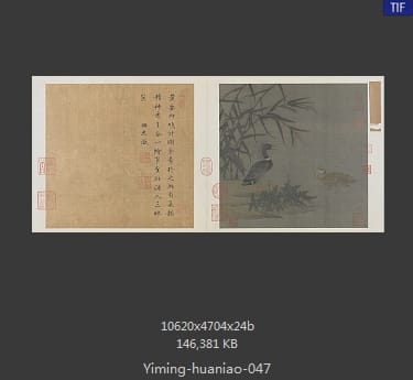溪芦野鸭图