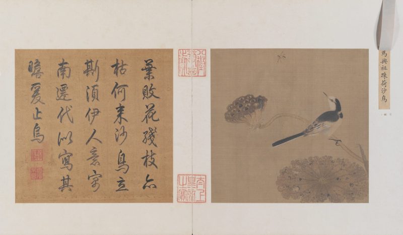 疏荷沙鸟图