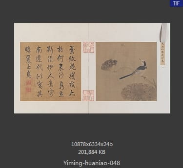 疏荷沙鸟图