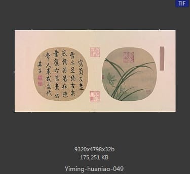秋兰绽蕊图
