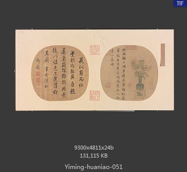 胆瓶秋卉图