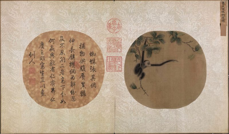 蛛网攫猿图