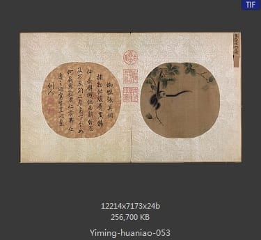 蛛网攫猿图