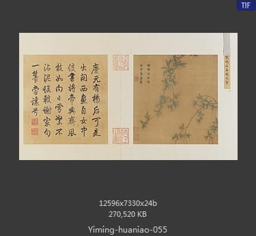 垂杨飞絮图