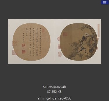 猿猴摘果图