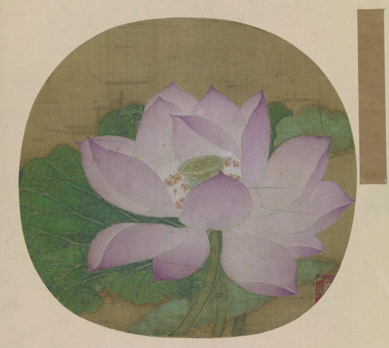 出水芙蓉图