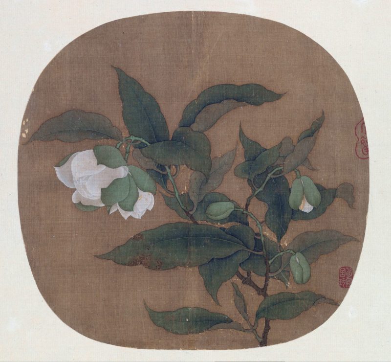 夜合花图
