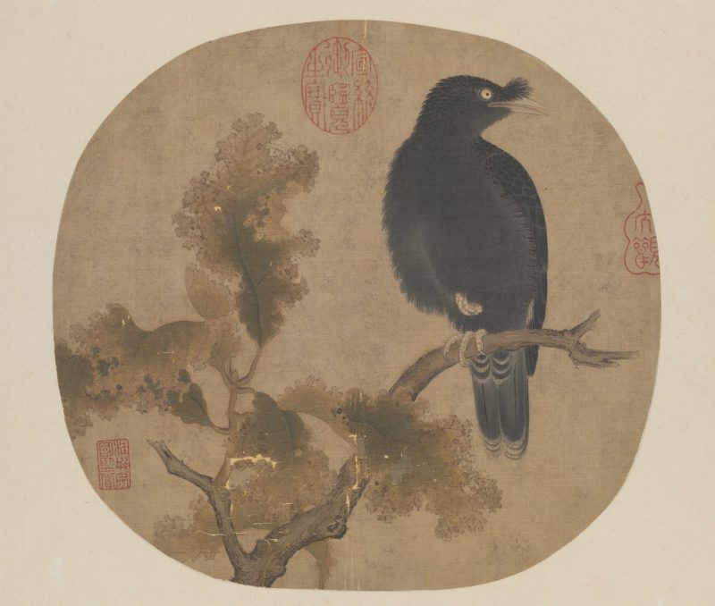 枯树鸜鹆图