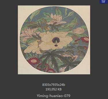 秋花图