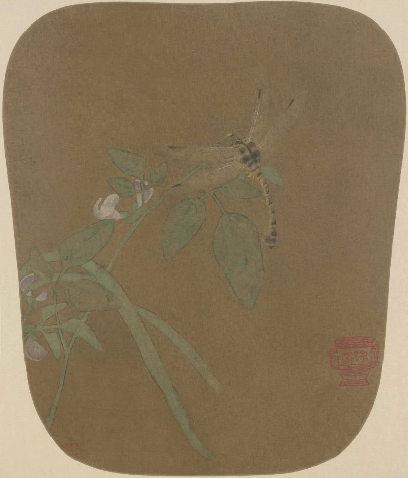 豆荚蜻蜓图